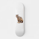 Search for photographer skateboards Cat