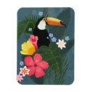 Search for wilderness magnets Jungle