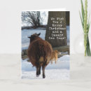 Search for sheep christmas cards Friends