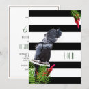Search for parrot birthday invitations Bird