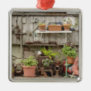 Search for catalina island christmas tree decorations California