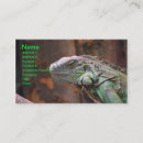 Search for pet reptile business cards Iguana