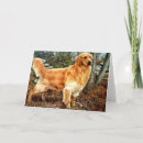Search for golden retriever get well cards Puppy