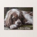 Search for cute cavalier king charles spaniel puzzles Puppy