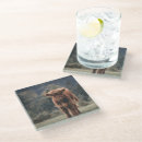 Search for cow coasters Highland cattle