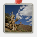 Search for ancient christmas tree decorations Mountain