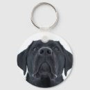 Search for black labrador key rings Animal
