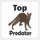 Search for predators stickers Wildlife
