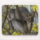 Search for cuddle mousepads Cute