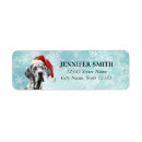 Search for great dane dog return address labels Dogs