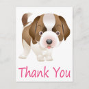 Search for saint bernard cards St bernard puppy