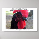 Search for concentration posters Animals