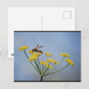Search for pollinators postcards Nature