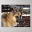 Search for german shepherd posters Animal