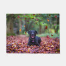 Search for black labrador doormats Dog