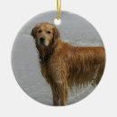 Search for flat coated retriever christmas tree decorations Bob and pam langrish