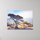 Search for cypress canvas prints Tree