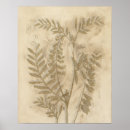 Search for foliage posters Botanical