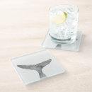 Search for whales coasters Illustration