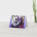 Search for ocassions cards Greetings