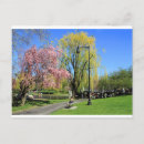 Search for common cards invites Boston massachusetts