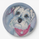 Search for bandana paper plates For her