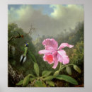 Search for martin johnson heade posters Flowers