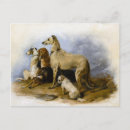 Search for small dog breed postcards Pet