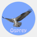Search for bird of prey stickers Animals