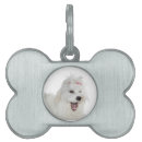 Search for fluffy white Funny