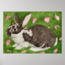 Search for rex posters Bunny
