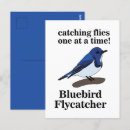 Search for bird lover postcards Nature