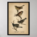 Search for audubon posters Lithograph