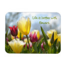 Search for motivational magnets Red