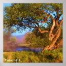 Search for willow tree posters River