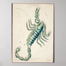 Search for constellation posters Astronomy