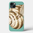 Search for conchs electronics Teal background