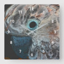 Search for cockatoo art Parrot