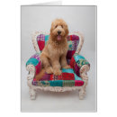 Search for vintage dog photos postcards Puppies