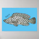 Search for humpback posters Fish