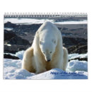 Search for polar bear calendars Nature