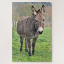 Search for pasture Nature