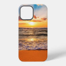 Search for beach scene cases Florida