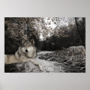 Search for creeks posters Stream