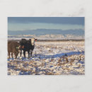 Search for alberta postcards Canadian