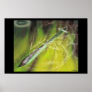 Search for sword posters Blade