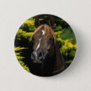 Search for stallion badges Equestrian