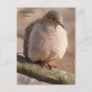 Search for mourning postcards Bird