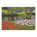 Search for grape hyacinth posters Europe