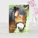 Search for cute pony cards Animal